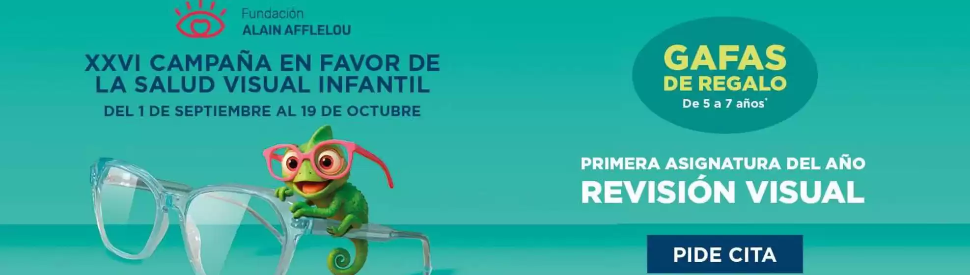 Primera Asignatura Del Año Revisión Visual