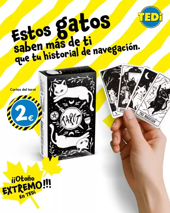 ¡¡Otoño Extremo!!! En Tedi