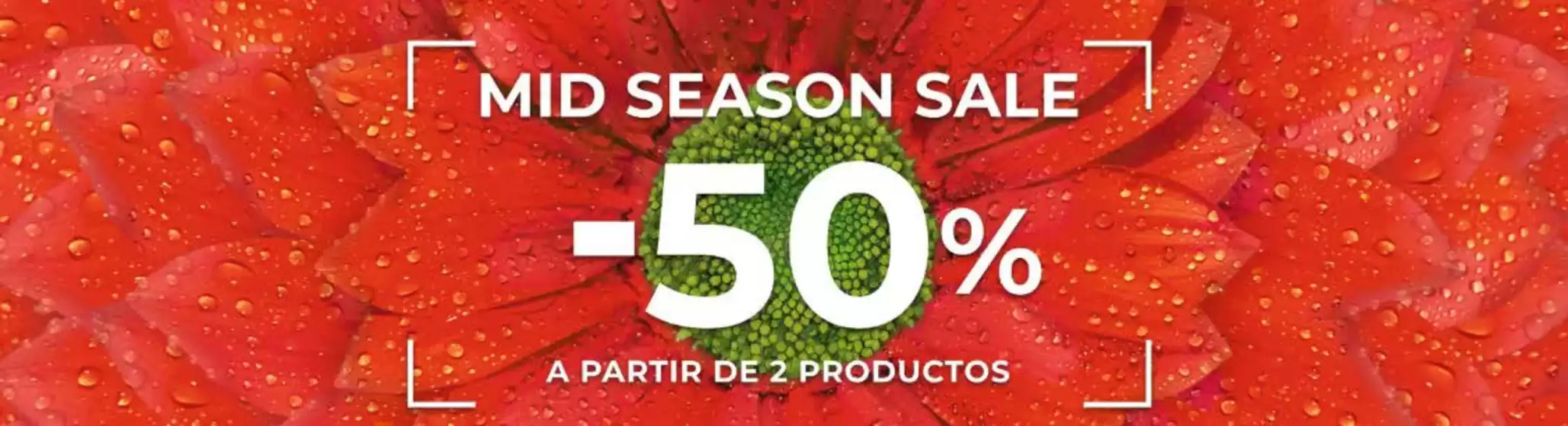 Mid Season Sale