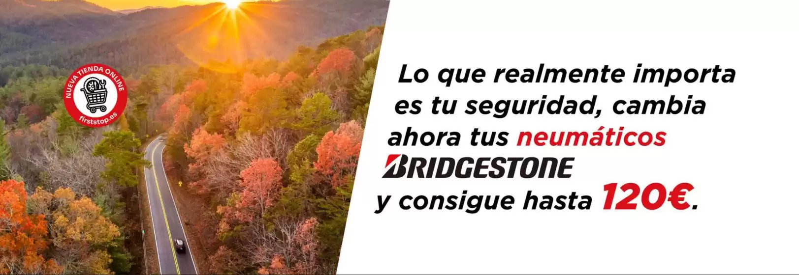 Promoción 