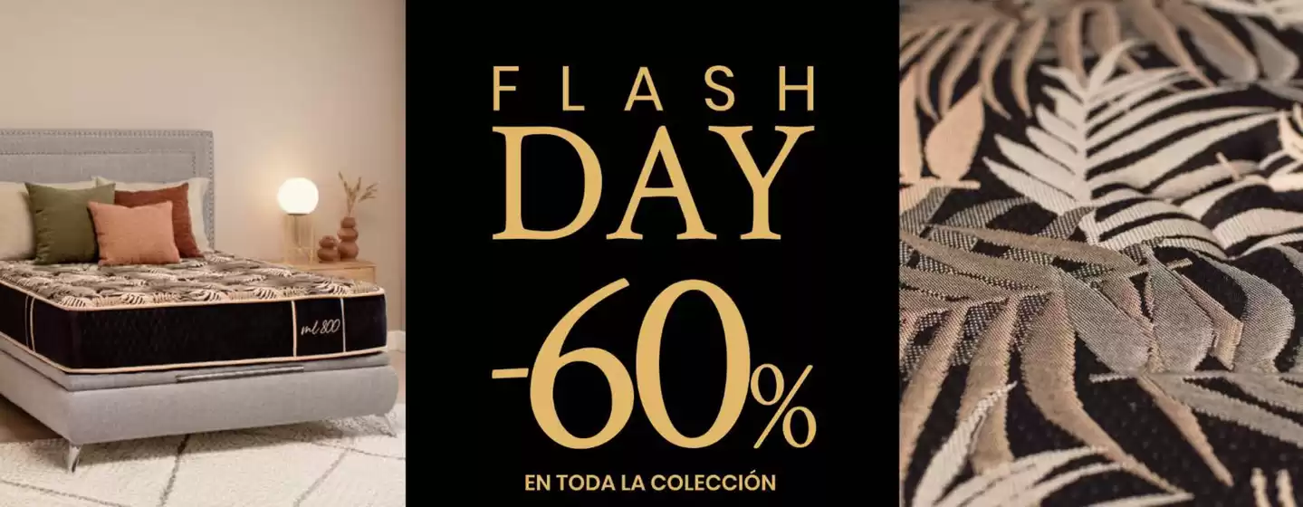 Flash Day