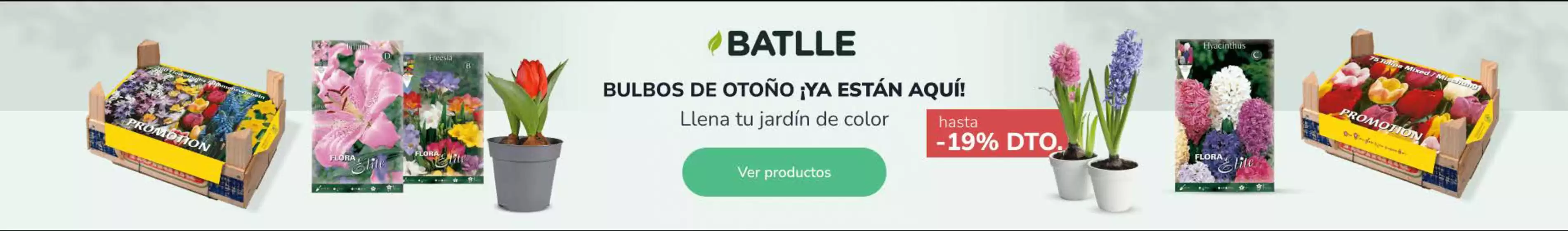 Catálogo Planeta Huerto en Palma de Mallorca | Llena tu jardín de color | 2025-10-14T00:00:00.000Z - 2025-10-20T00:00:00.000Z