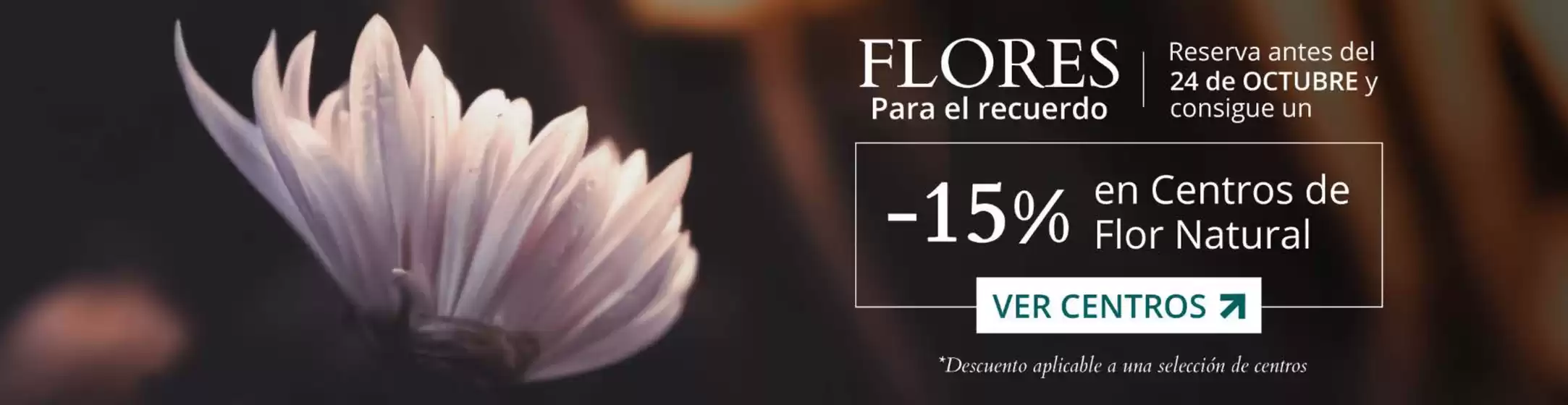 Catálogo Verdecora | -15% en Centros de Flor Natural | 2025-10-14T00:00:00.000Z - 2025-10-24T00:00:00.000Z