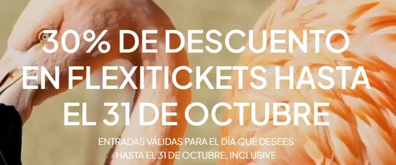 Catálogo Marineland en Enciso | Promoción  | 2025-10-22T00:00:00.000Z - 2025-10-31T00:00:00.000Z