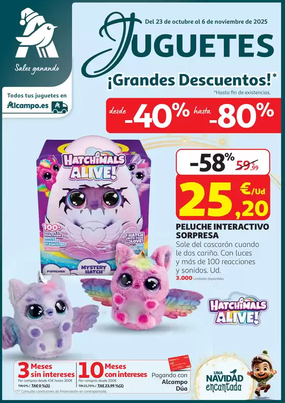 ¡Grandes Descuentos! 