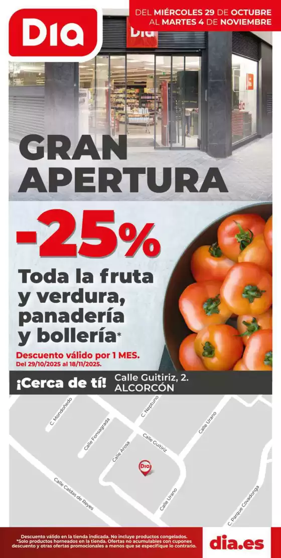 Gran apertura Dia del 29/10 al 04/11