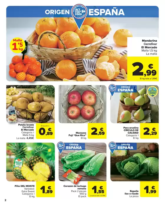 Del 28 De Octubre Al 13 De Noviembre