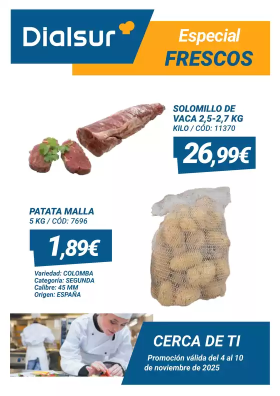 Catálogo Dialsur Cash & Carry en Tarragona | Promoción válida del 4 al 10 de noviembre de 2025 | 2025-11-04T00:00:00.000Z - 2025-11-10T00:00:00.000Z
