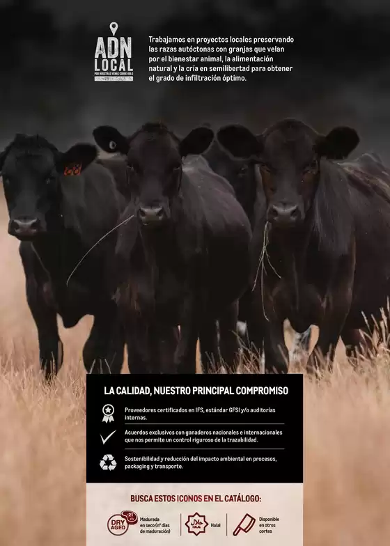 Vigencia Del 3 Al 23 De Noviembre De 2025