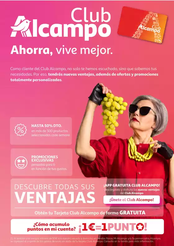 Del 6 al 19 de noviembre de 2025