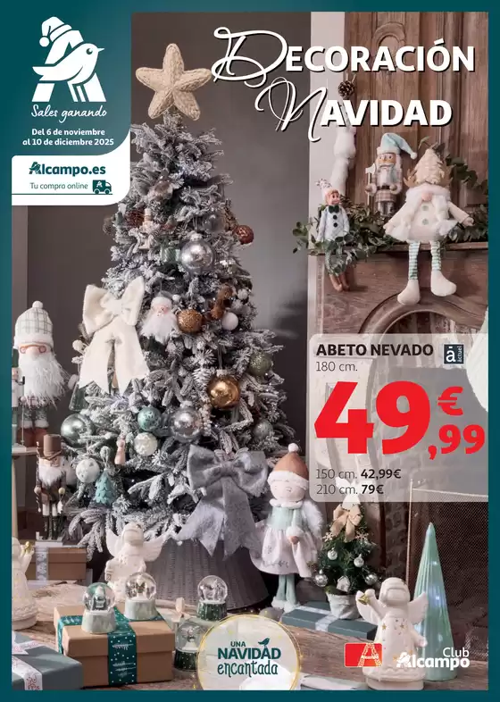 Decoración Navidad 