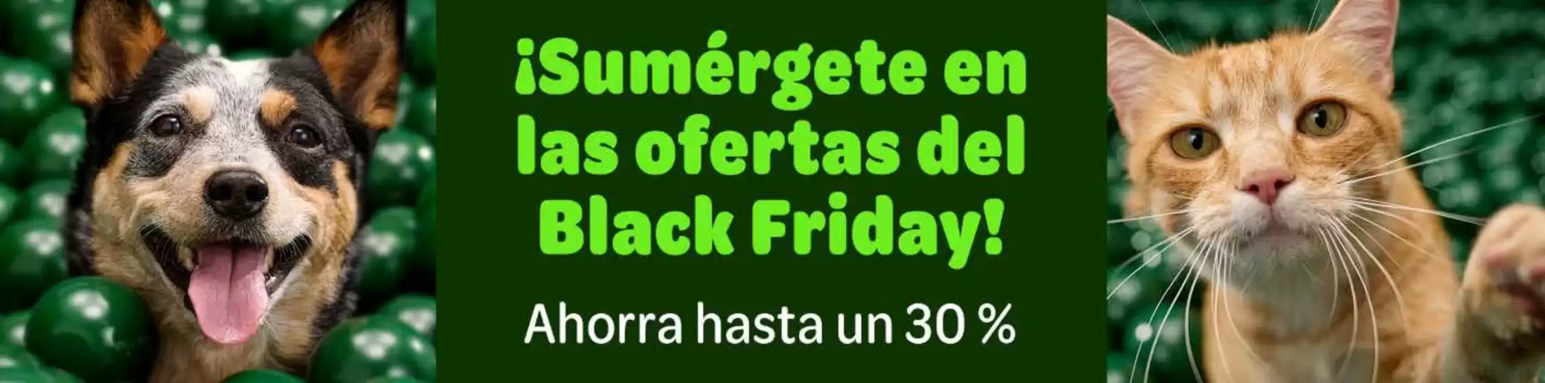 Catálogo Zooplus en Lorca | Ahorra hasta un 30% | 2025-11-12T00:00:00.000Z - 2025-11-18T00:00:00.000Z