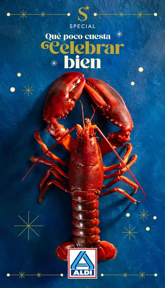 Catálogo ALDI en Valmojado | Celebra cada día con Special | 2025-12-10T00:00:00.000Z - 2025-12-16T00:00:00.000Z