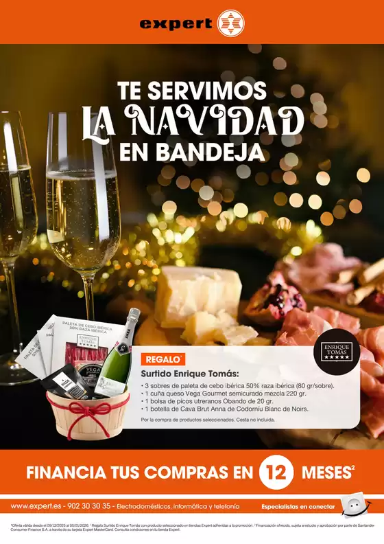 Catálogo Expert | Ofertas Navidad | 2025-12-15T00:00:00.000Z - 2026-01-05T00:00:00.000Z