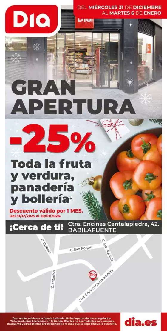 Catálogo Dia en Salamanca | Gran apertura Dia del 31/12 al 06/01 | 2025-12-31T00:00:00.000Z - 2026-01-06T00:00:00.000Z