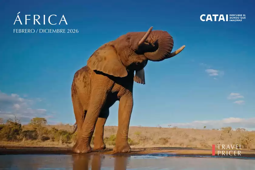 Catálogo Catai en Galdakao | África Febrero / Diciembre 2026 | 2026-02-01T00:00:00.000Z - 2026-12-31T00:00:00.000Z