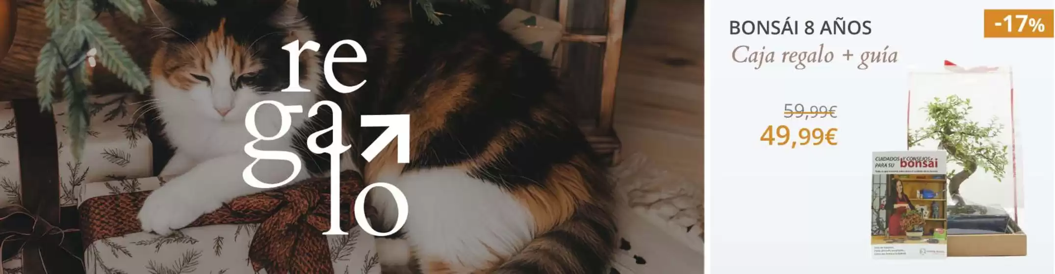 Catálogo Verdecora en Teruel | Oferta | 2026-01-06T00:00:00.000Z - 2026-01-19T00:00:00.000Z