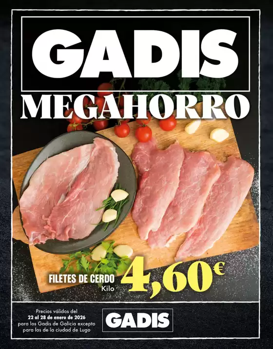 Catálogo Gadis | Gadis Megahorro | 2026-01-22T00:00:00.000Z - 2026-01-28T00:00:00.000Z