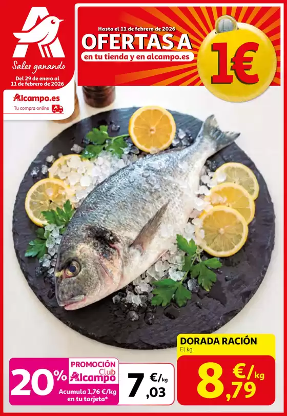 Catálogo Alcampo en Bergara | Del 29 de enero al 11 de febrero de 2026 | 2026-01-29T00:00:00.000Z - 2026-02-11T00:00:00.000Z