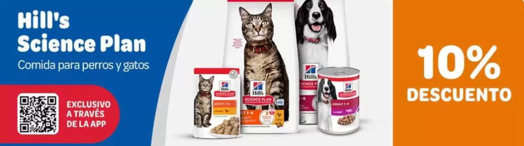 Catálogo Zooplus en El Ejido | 10 % de descuento | 2026-01-28T00:00:00.000Z - 2026-02-02T00:00:00.000Z