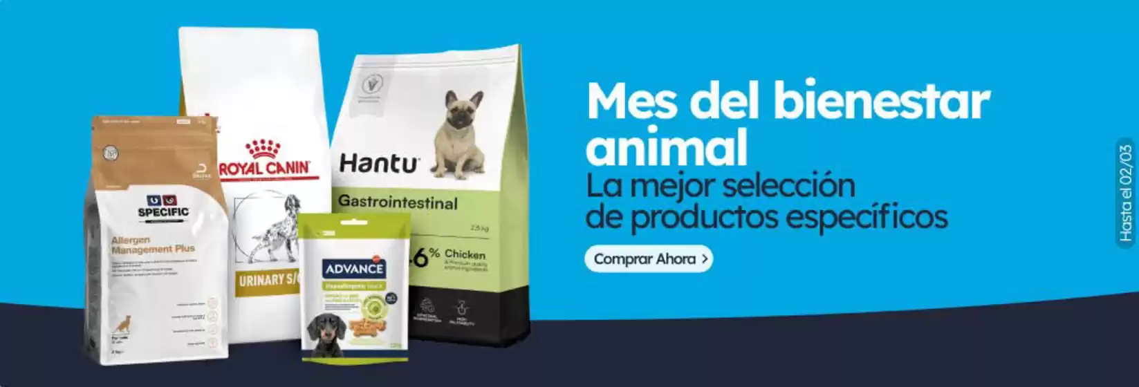 Catálogo Miscota en Gandia | Promociones | 2026-02-04T00:00:00.000Z - 2026-03-02T00:00:00.000Z