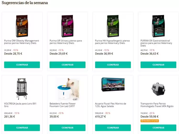 Catálogo Don Mascota en Alcobendas | Sugerencias de la semana | 2026-02-06T00:00:00.000Z - 2026-02-12T00:00:00.000Z