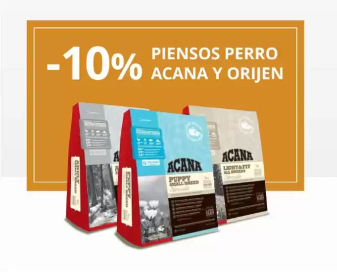 Catálogo Verdecora en Celanova | Promoción  | 2026-02-20T00:00:00.000Z - 2026-03-05T00:00:00.000Z