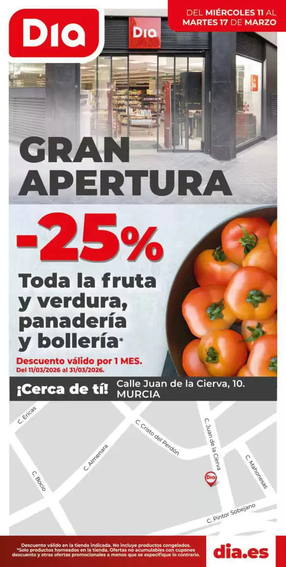 Catálogo Dia en Xàbia | Gran apertura Dia del 11/03 al 17/03 | 2026-03-11T00:00:00.000Z - 2026-03-17T00:00:00.000Z