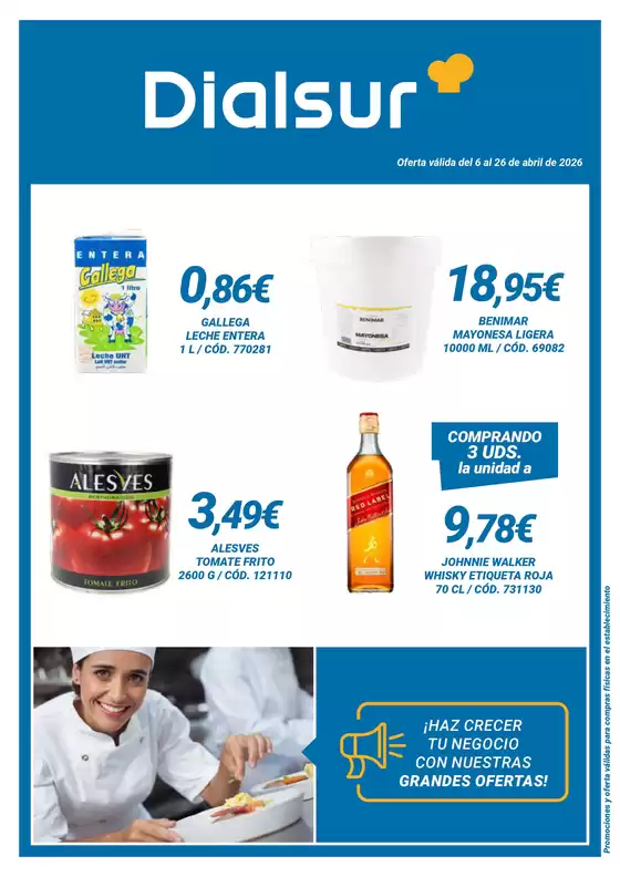Catálogo Dialsur Cash & Carry | Oferta válida del 6 al 26 de abril de 2026 | 2026-04-06T00:00:00.000Z - 2026-04-26T00:00:00.000Z