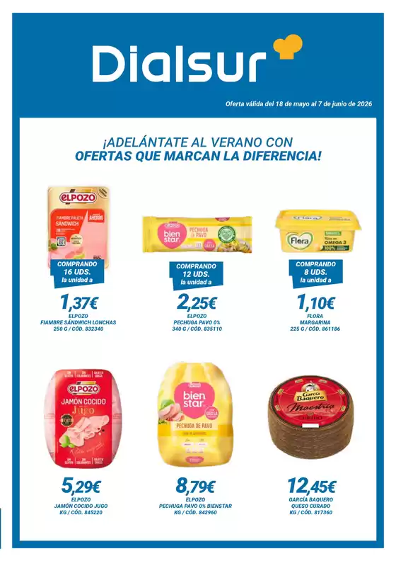Catálogo Dialsur Cash & Carry | ¡Adelántate Al Verano Con Ofertas Que Marcan La Diferencia! | 2026-05-18T00:00:00.000Z - 2026-06-07T00:00:00.000Z