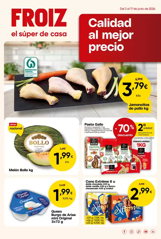 Catálogo Froiz en Geria | Calidad al mejor precio | 2026-06-02T00:00:00.000Z - 2026-06-17T00:00:00.000Z