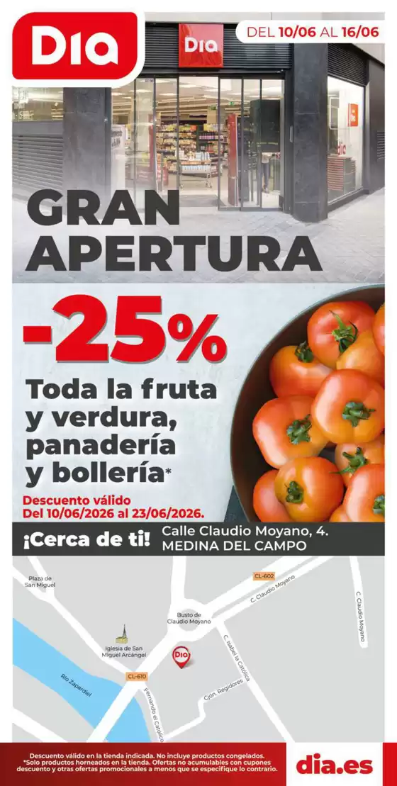 Catálogo Dia en Alcazarén | Gran apertura Dia del del 10/06 al 16/06 | 2026-06-10T00:00:00.000Z - 2026-06-16T00:00:00.000Z