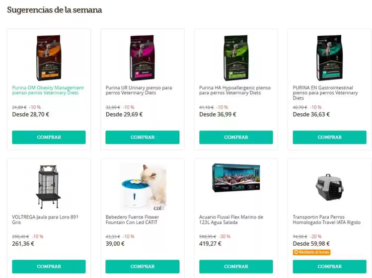 Catálogo Don Mascota | Sugerencias de la semana | 2026-06-12T00:00:00.000Z - 2026-06-18T00:00:00.000Z
