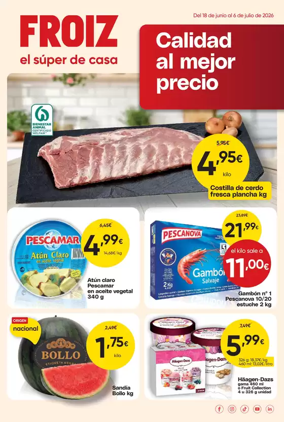 Catálogo Froiz en Llançà | Calidad al mejor precio | 2026-06-18T00:00:00.000Z - 2026-07-06T00:00:00.000Z