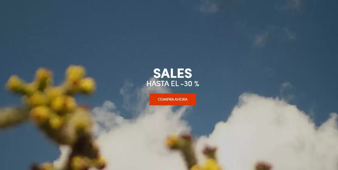 Catálogo TWINSET | Hasta El -30% | 2026-06-26T00:00:00.000Z - 2026-07-09T00:00:00.000Z