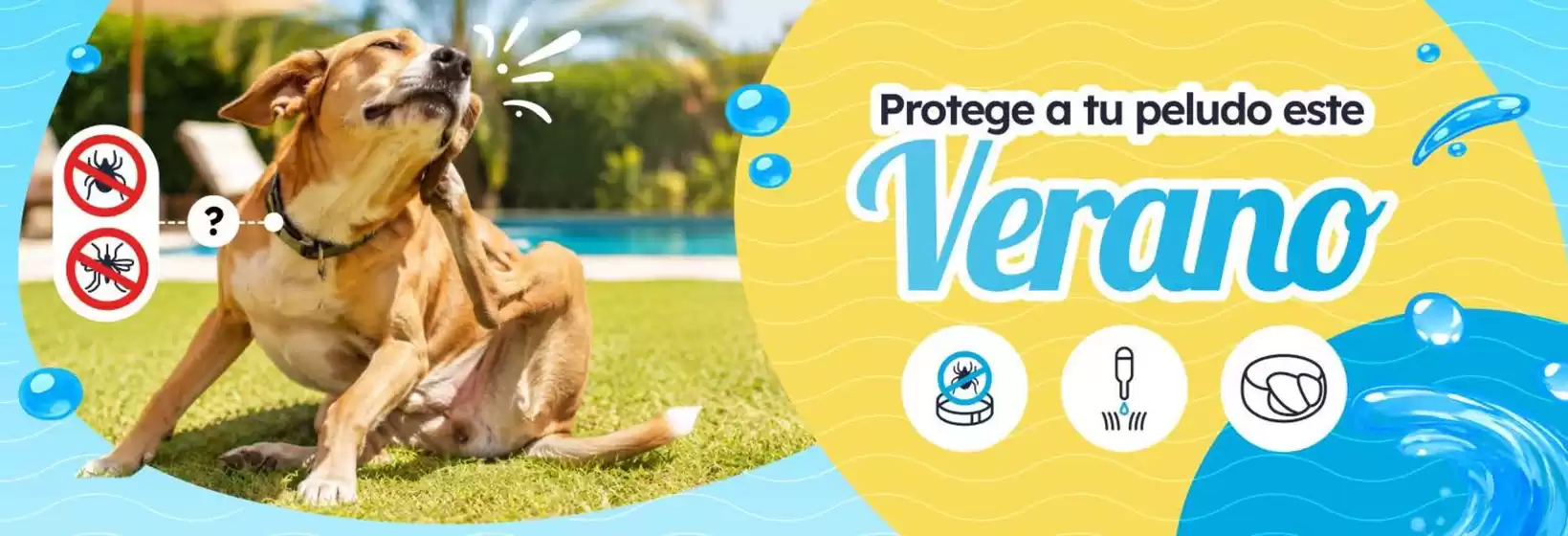Catálogo Miscota | Promociones | 2026-07-03T00:00:00.000Z - 2026-07-31T00:00:00.000Z