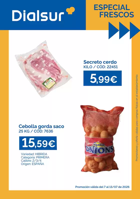 Catálogo Dialsur Cash & Carry | Promoción válida del 7 al 13/07 de 2026 | 2026-07-07T00:00:00.000Z - 2026-07-13T00:00:00.000Z