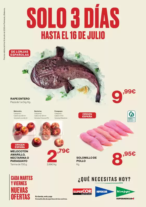 Catálogo El Corte Inglés | Hasta El 16 De Julio | 2026-07-15T00:00:00.000Z - 2026-07-16T00:00:00.000Z