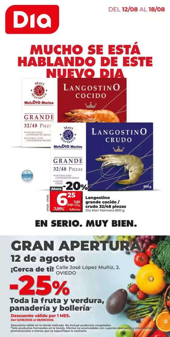 Catálogo Dia en La Felguera | Gran apertura Dia del 12/08 al 18/08 | 2026-08-12T00:00:00.000Z - 2026-08-18T00:00:00.000Z
