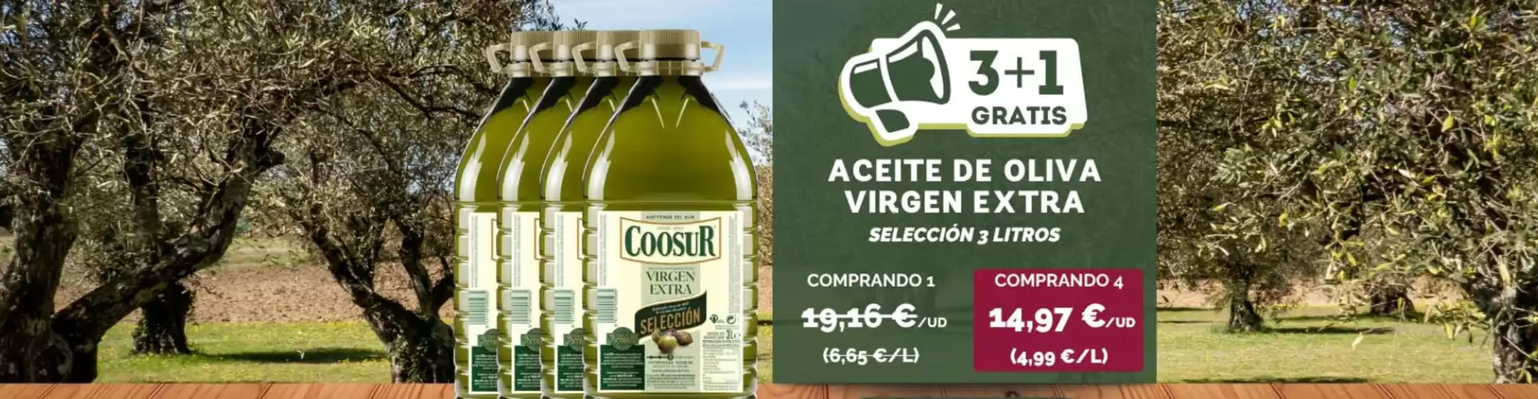 Catálogo Coosur | Promoción | 2026-08-26T00:00:00.000Z - 2026-09-08T00:00:00.000Z