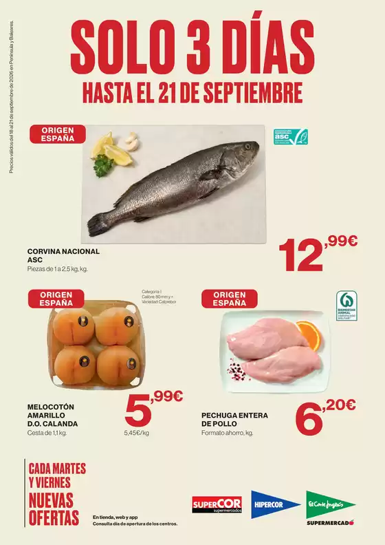 Catálogo El Corte Inglés | Solo 3 días | 2026-09-18T00:00:00.000Z - 2026-09-21T00:00:00.000Z