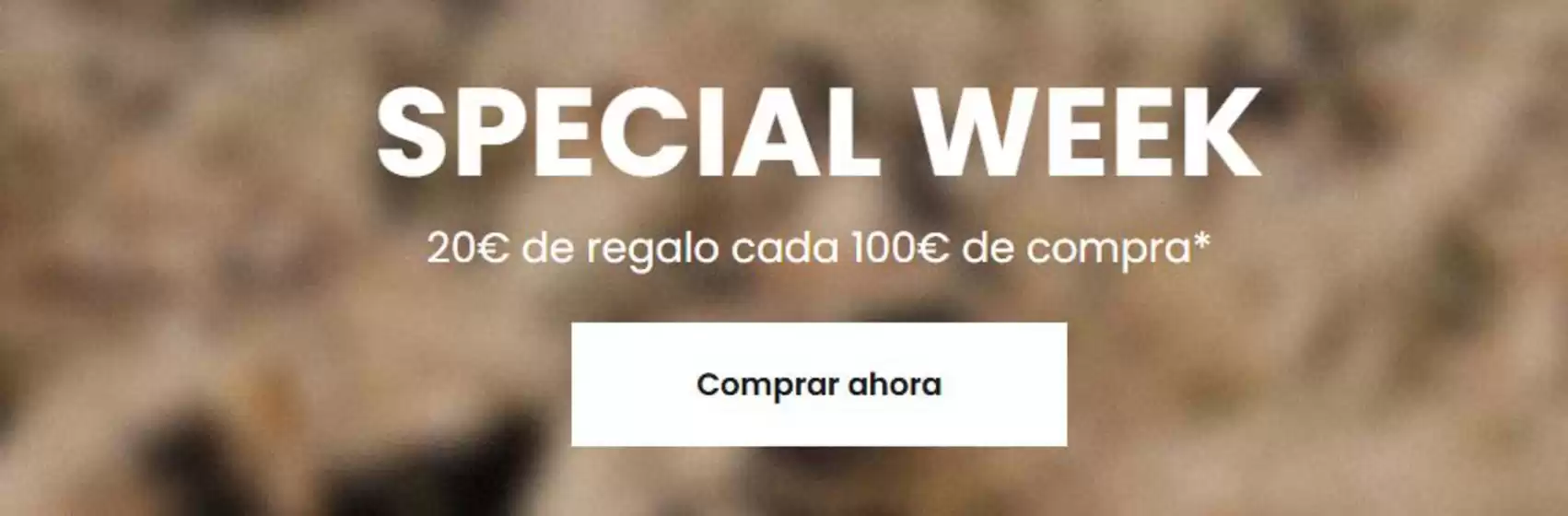 Catálogo Quiksilver en Ronda | Special Week | 2026-09-22T00:00:00.000Z - 2026-09-27T00:00:00.000Z