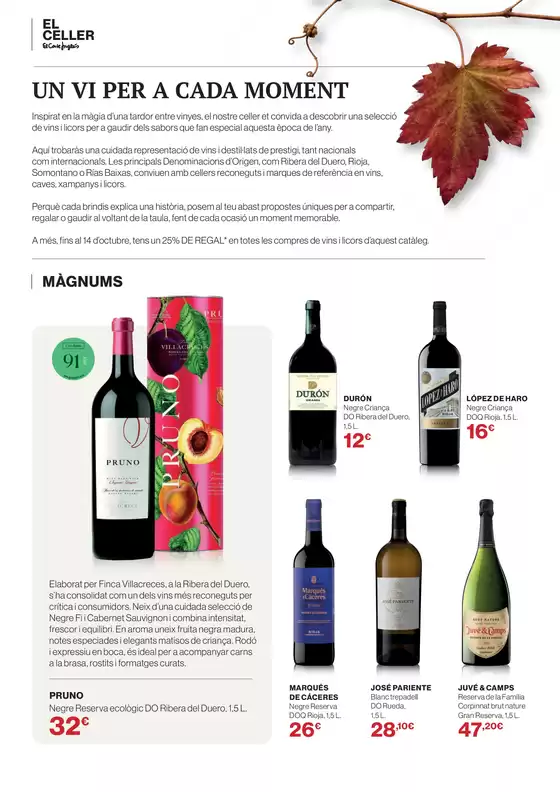 main_flyer image
