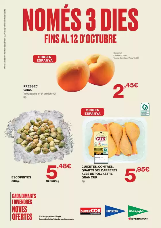 Catálogo El Corte Inglés en Aoiz | Fins Al 12 D'octubre | 2026-10-09T00:00:00.000Z - 2026-10-12T00:00:00.000Z