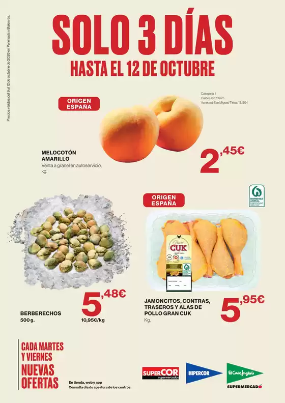 Catálogo El Corte Inglés en Aoiz | Hasta El 12 De Octubre | 2026-10-09T00:00:00.000Z - 2026-10-12T00:00:00.000Z
