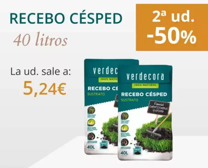 Catálogo Verdecora en Madrigalejo | 2a ud. 50% | 2026-10-20T00:00:00.000Z - 2026-11-02T00:00:00.000Z