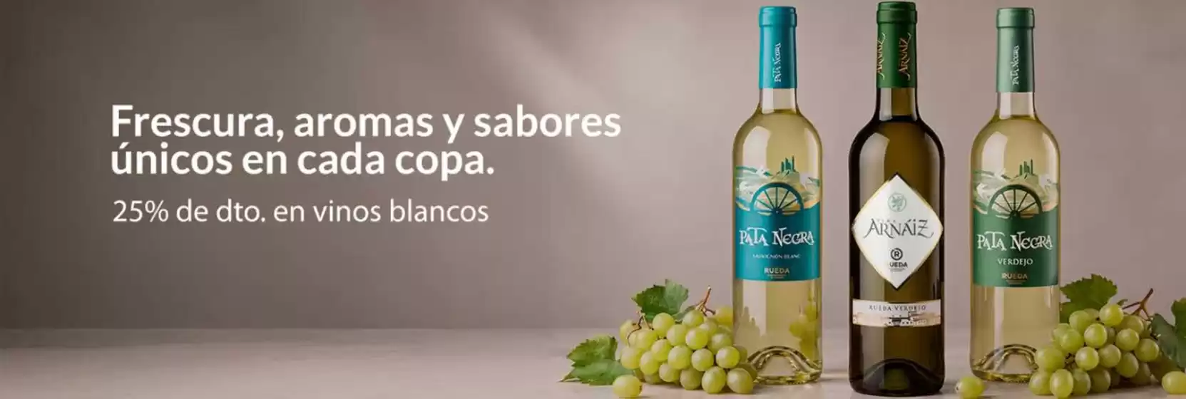 Catálogo Garcia Carrión | 25% de dto. en vinos blancos | 2026-10-26T00:00:00.000Z - 2026-11-08T00:00:00.000Z