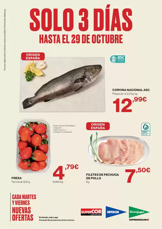 Catálogo El Corte Inglés | Hasta El 29 De Octubre | 2026-10-27T00:00:00.000Z - 2026-10-29T00:00:00.000Z