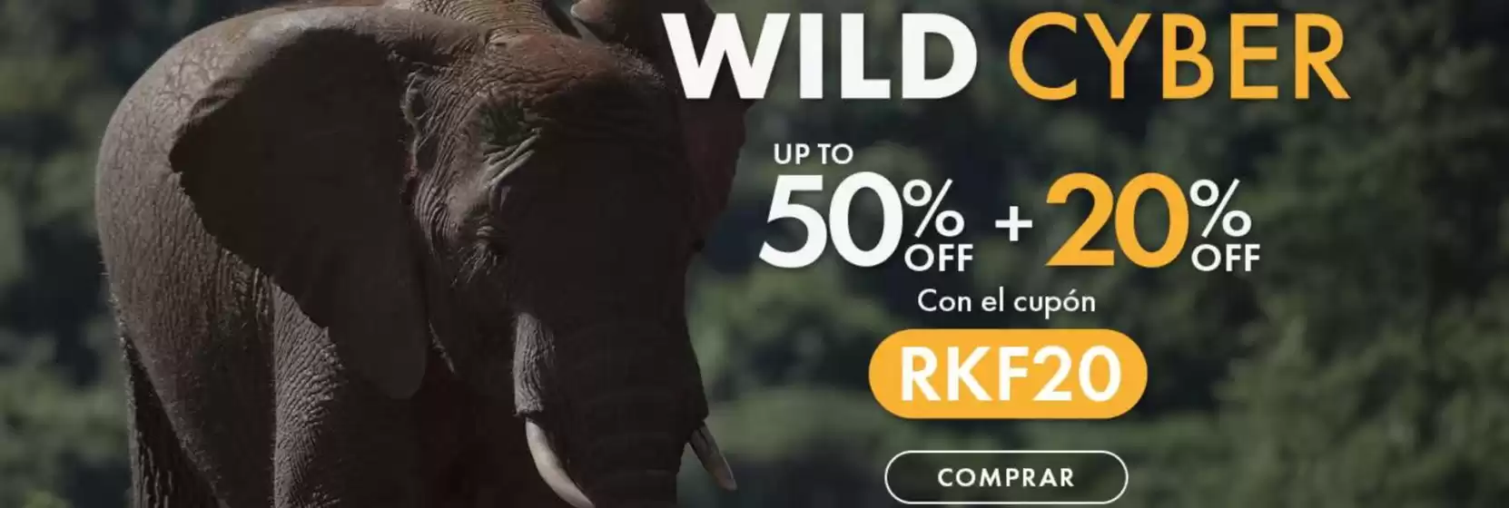 Catálogo RKF | Wild cyber  | 2026-04-17T00:00:00.000Z - 2026-04-19T00:00:00.000Z