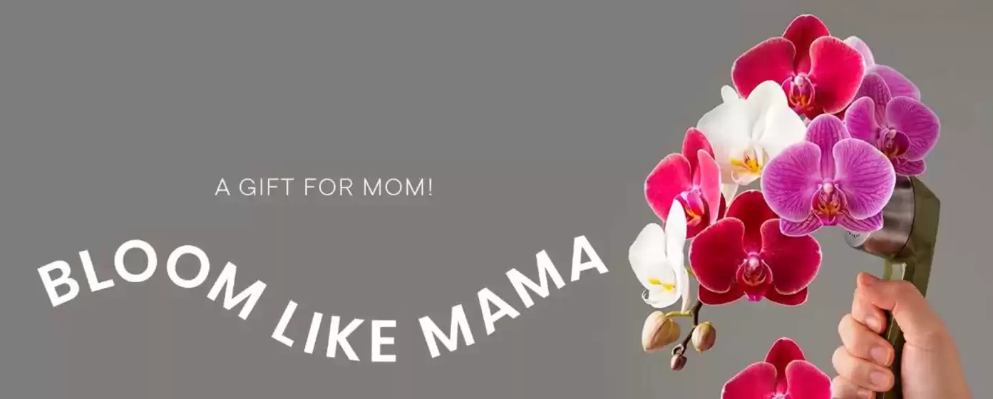 Catálogo Milano Bags | A gift for mom! | 2026-04-24T00:00:00.000Z - 2026-05-10T00:00:00.000Z